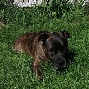 Meet your Posher, Janet